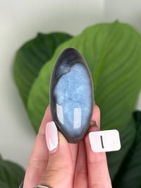 Image 9 of BLUE OPAL SHIVAS