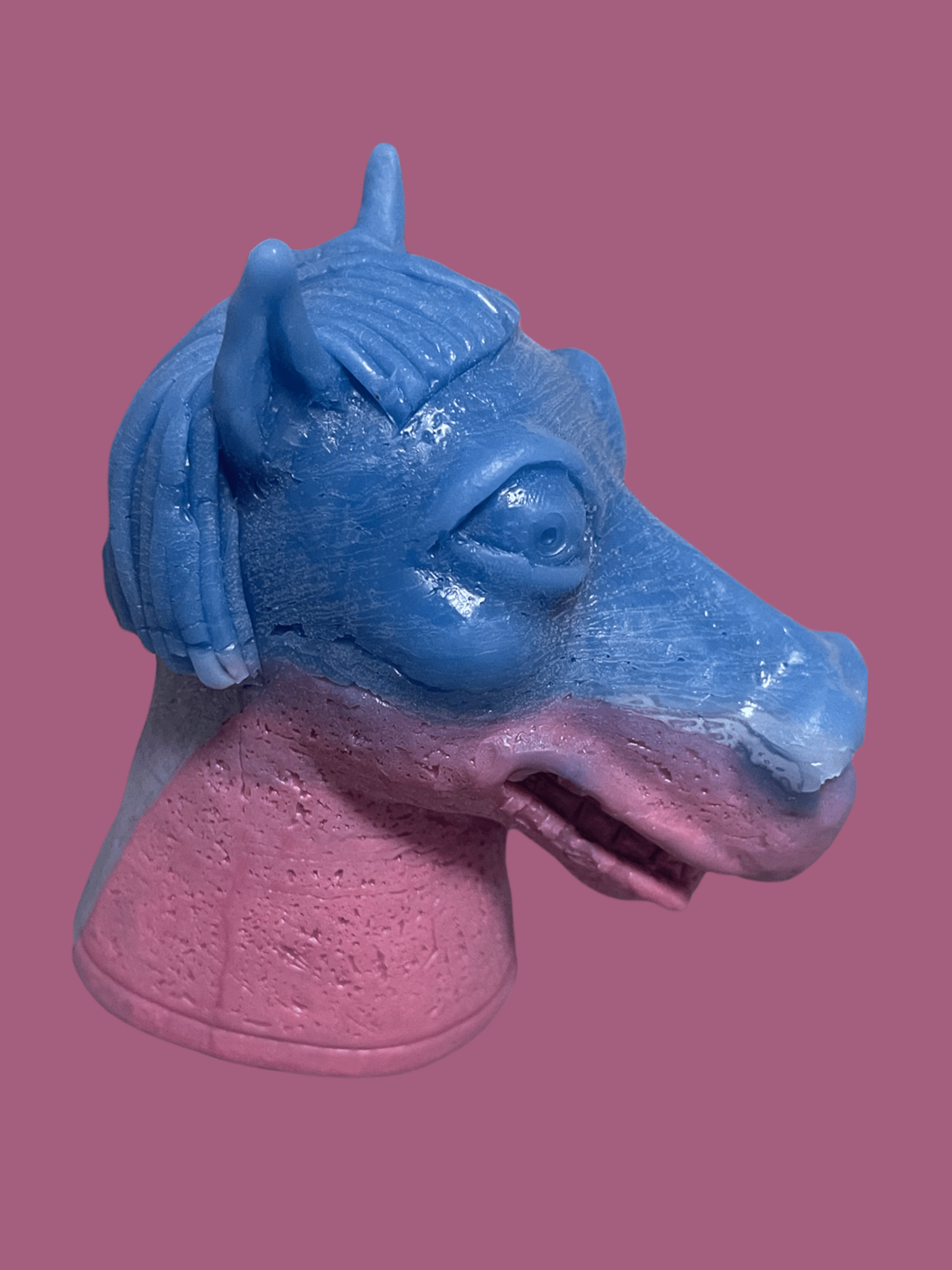 Image of Young Charlie Horse Wax