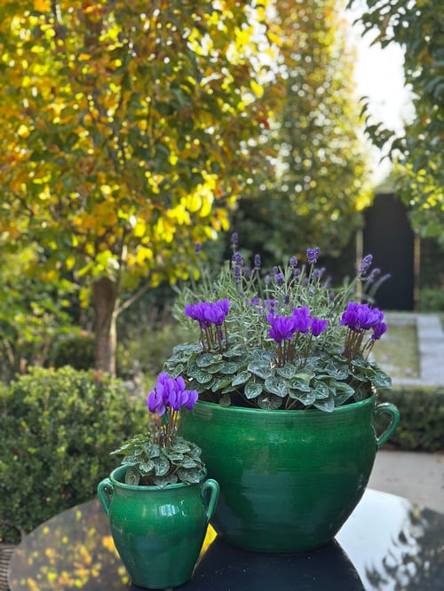 Image of Emerald Green Glazed Pot 