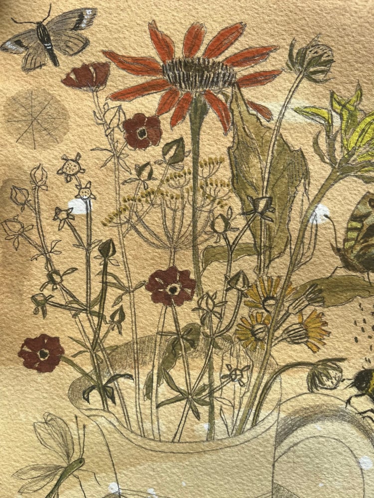 Image of Late summer flowers 