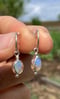 Image of Opal Ohrringe No 2