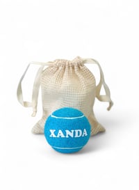 Image 2 of Personalized Tennis Ball Toy - Blue