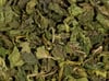 Nettle leaf tea