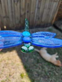 Image of Fused Dragonfly