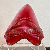 Lcfr Spirit Meg Tooth 5”+ Prpl1 25