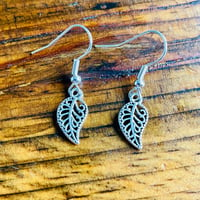 Image 1 of Set of 5 pairs of leaf shaped earrings with hypoallergenic hooks