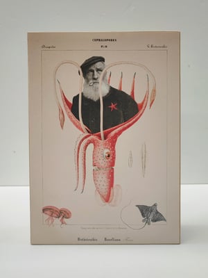 Image of Marinero
