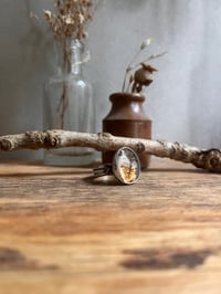 Image 2 of Lichen ring 