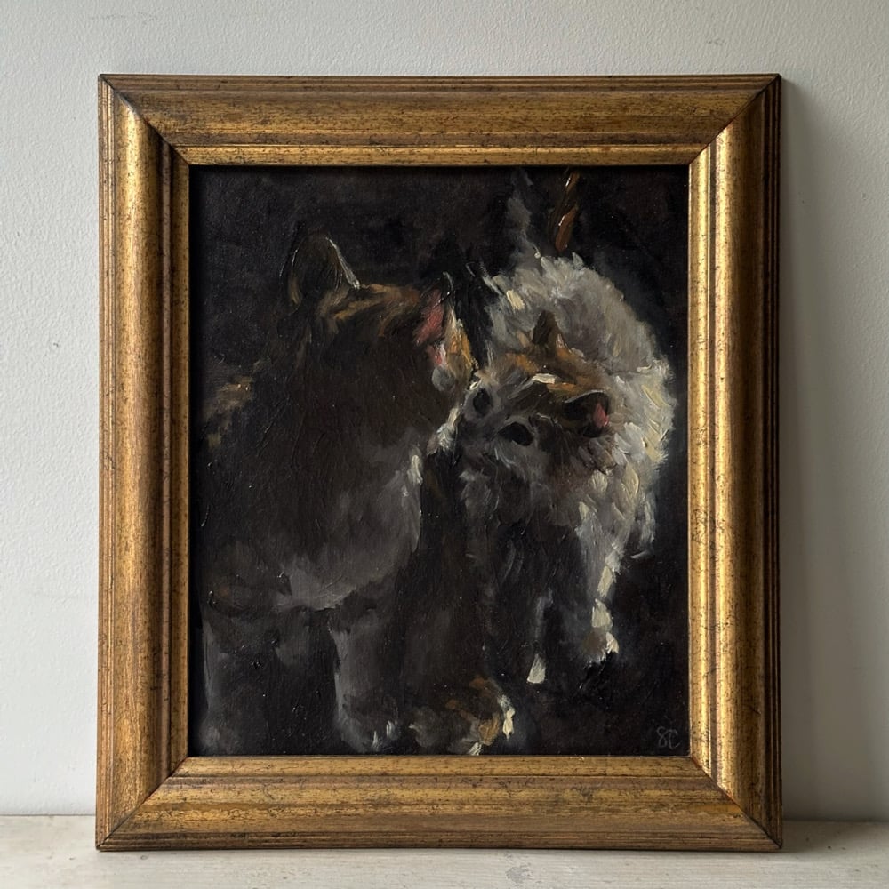 Image of pair of cats 