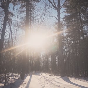 Image of Sacred Nature Journey .. local