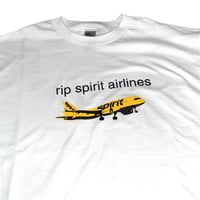 Image 2 of rip spirit airlines