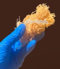 Image 2 of Irish Sea Moss | Superfood Collection