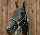 Image 1 of Special Edition Sidepull Training Halter Set