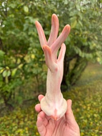 Image 9 of Jazz Hands 