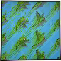 Miami Parakeets (2025)