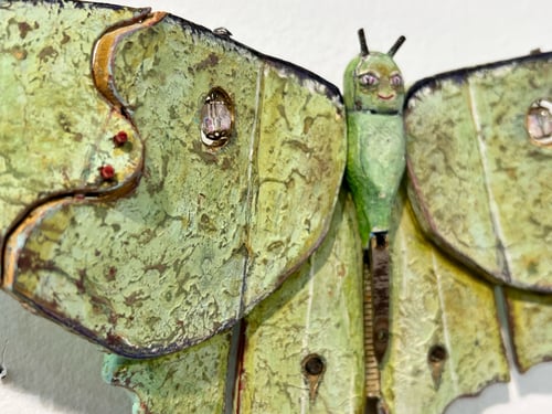 Image of Luna Moth- Jil Johnson