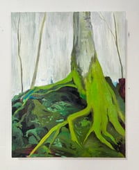 Image 1 of Moss 