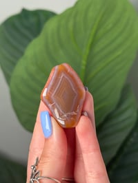 Image 1 of TUMBLED AGATE #15 -MALAWI-