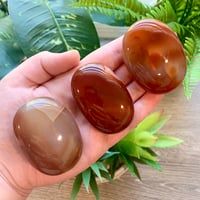 Carnelian Agate Palmstone