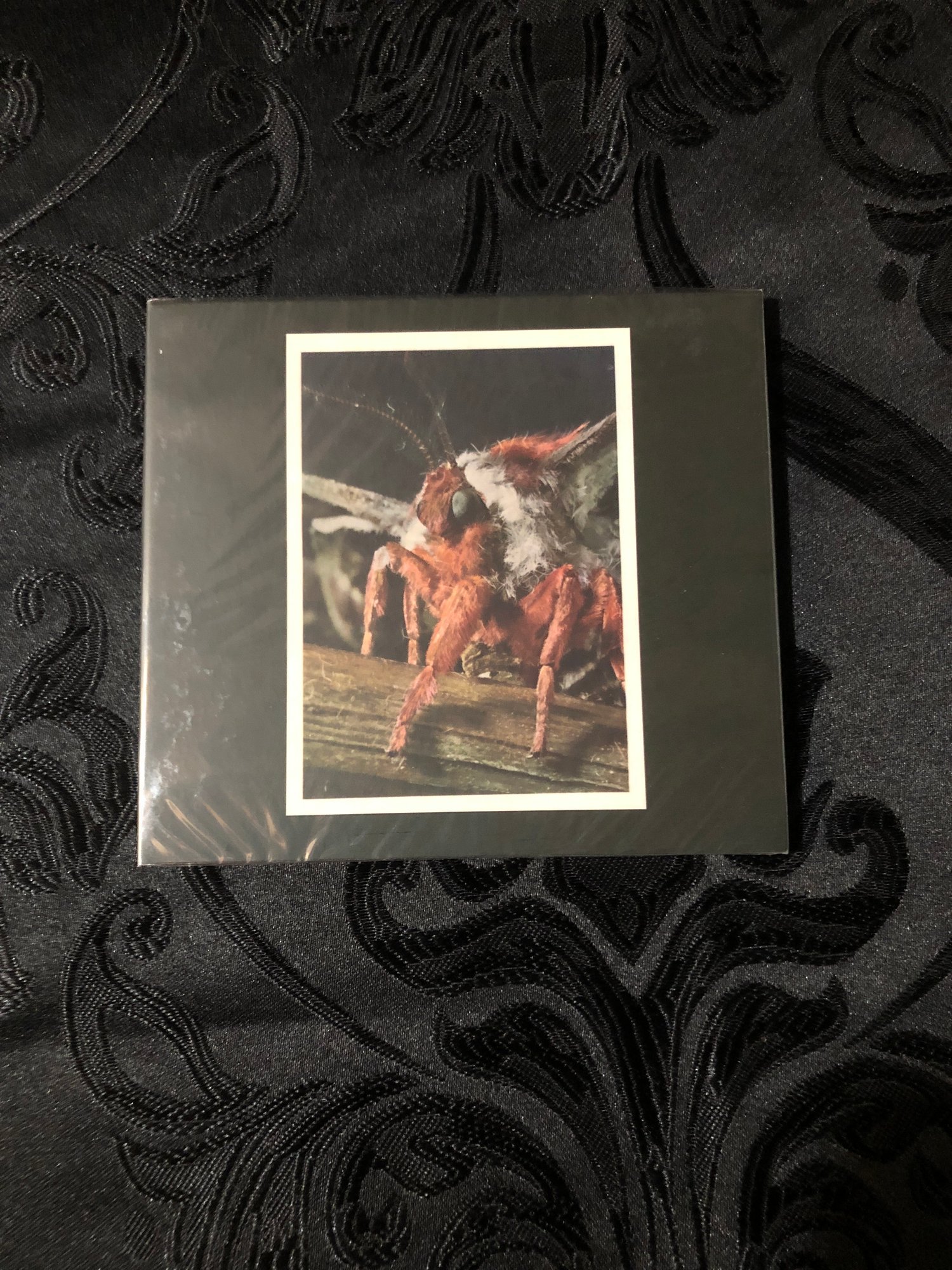 Primitive Wings - Morphosis CD (Satatuhatta)