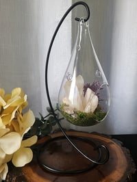 Image 2 of Glass Teardrop Terrarium Set With Natural Quartz Crystal & Stand - Everything Included 