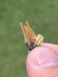 Image 7 of Golden Rutile & Hematite Star Specimen|Brazil #3054