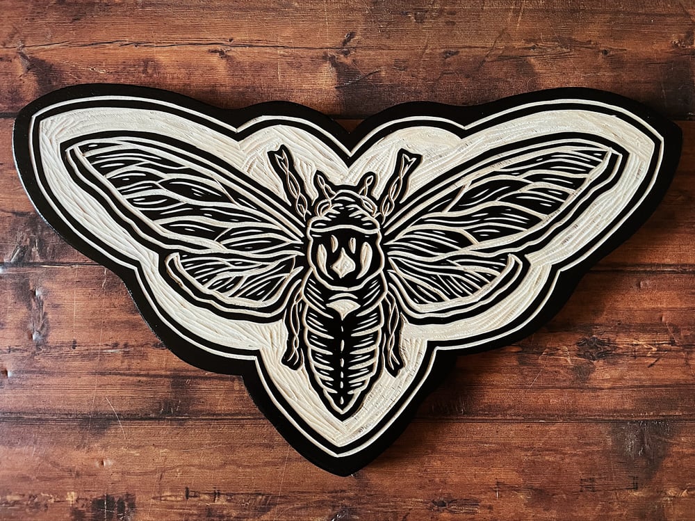 Image of Cicada wings open Woodcut