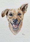 Custom Dog Portrait - Booking Fee (Email for inquiries)