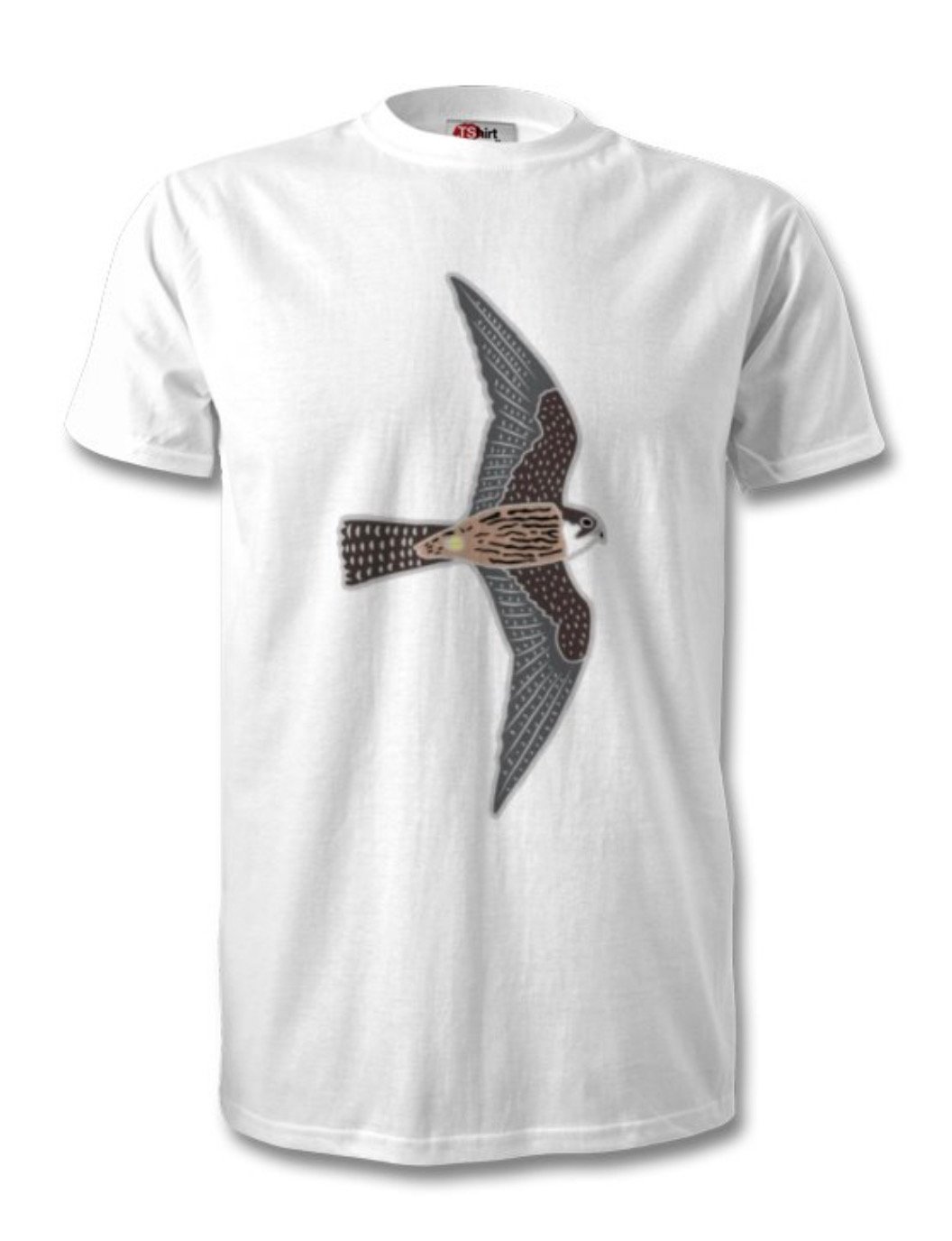 Falcon girl 2024 t shirt