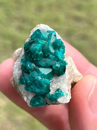 Image 2 of Dioptase Specimen | Congo #3011