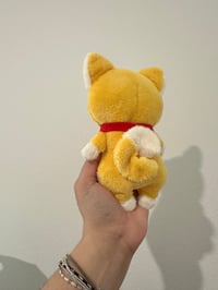 Image 2 of Shiba Baby