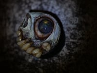 Image 12 of Undead Gaze Popsocket, phone grip