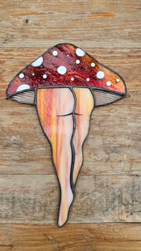 Image 1 of Mushroom bum 2