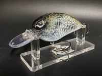 Image 1 of LJ  Style Crappie