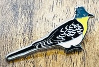 Image 2 of Great Spotted Cuckoo - No.154 - UK Birding Pins 