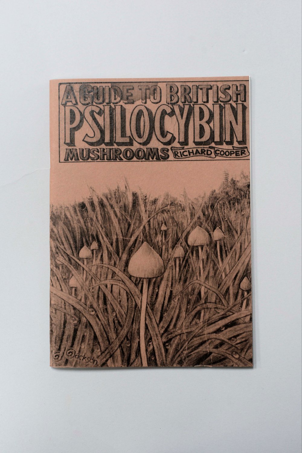 A guide to British psilocybin mushrooms 