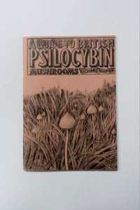 Image 2 of A guide to British psilocybin mushrooms 