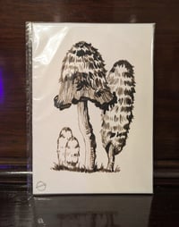 Image 1 of Original Mushroom Ink Drawing