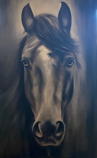 Image 1 of Black Beauty