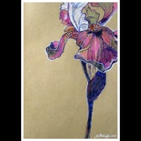 Image 3 of IRIS_PRINT_SMALL ART