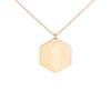 Pinneaple Hexagon Necklace
