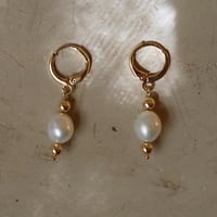 Image 1 of Gold filled Huggies with 8.5mm Freshwater Pearl Earrings from