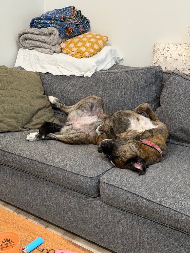 Image of Custom for Jeremy