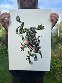 Image 3 of Mama frog 
