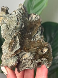 Image 2 of XL HALF POLISHED HIMALAYAN RUTILE IN QUARTZ CLUSTER B