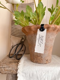 Image 4 of Large Frill Rustic Pot