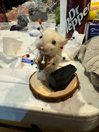 Image 5 of Taxidermy For Beginners at Ouroboros Sat 21st June 11am - 3.30