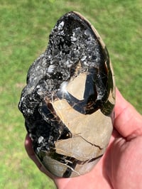 Image 11 of Septarian Nodule Polished Freeform With Calcite Inclusions| Madagascar #2892