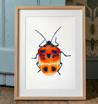 Image 6 of Camellia Shield Bug Art Print, Watercolor Shield Beetle Illustration, Insect Wall Decor