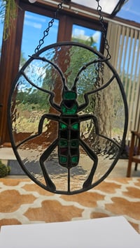 Image 1 of Longhord beetle